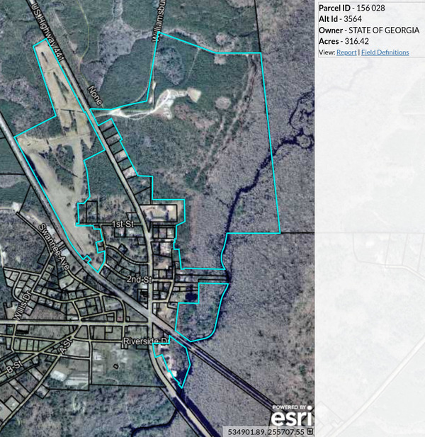 [Map: State of Georgia, Clinch County Parcel 156 028]
