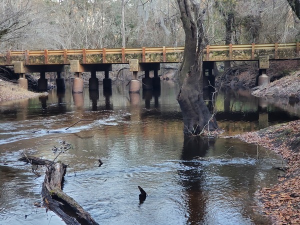 Closer, Tyler Bridge, Franklinville, Withlacoochee River, 2023:01:06 17:14:01, 30.9815836, -83.2679495