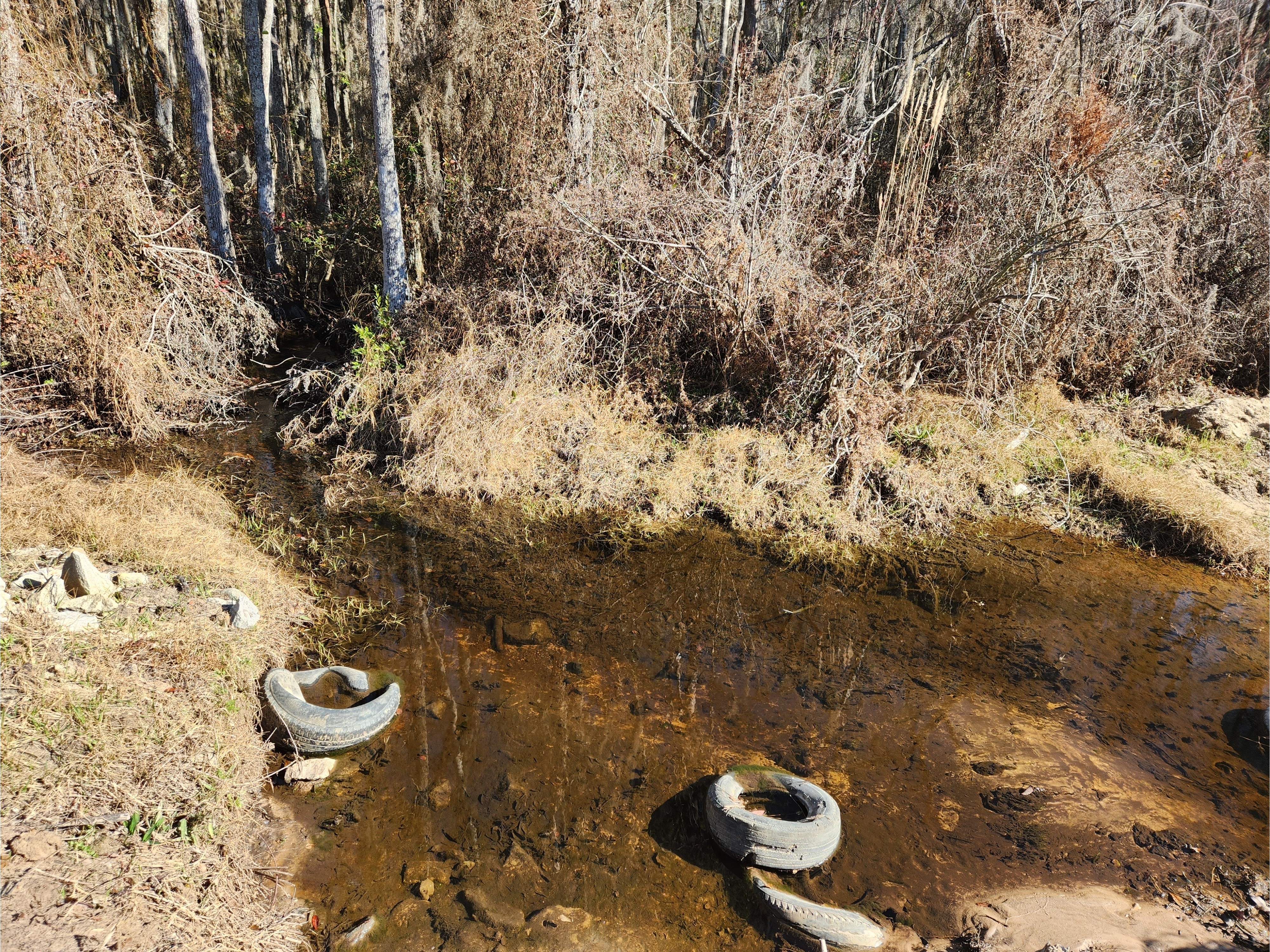 Beaverdam Creek @ Ramblinwood Road, Beaverdam Creek @ Ramblinwood Road 2023-01-06