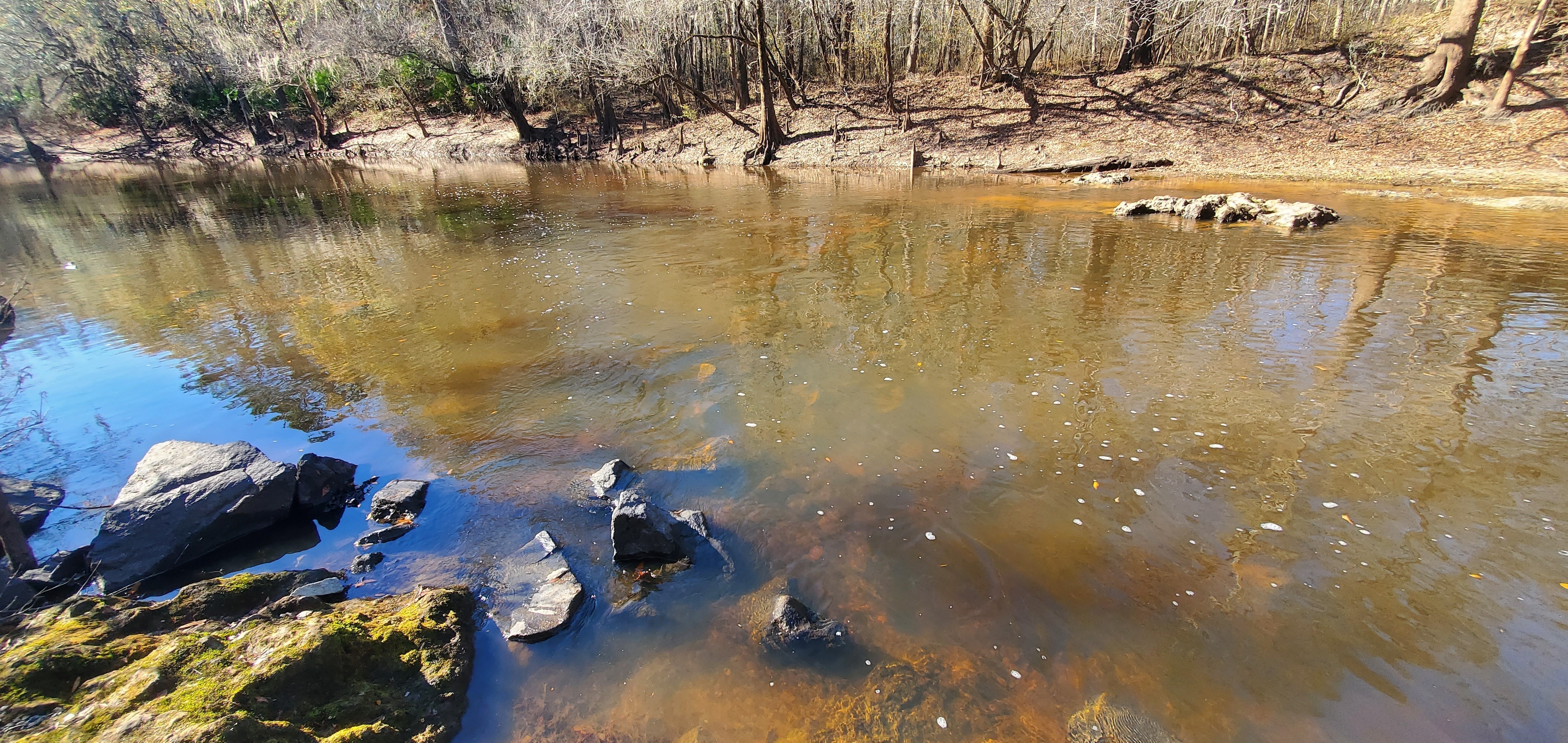 Sample site, fish weir, Troupville Boat Ramp, Little River, 2023:01:06 14:03:07, 30.8515292, -83.3476617