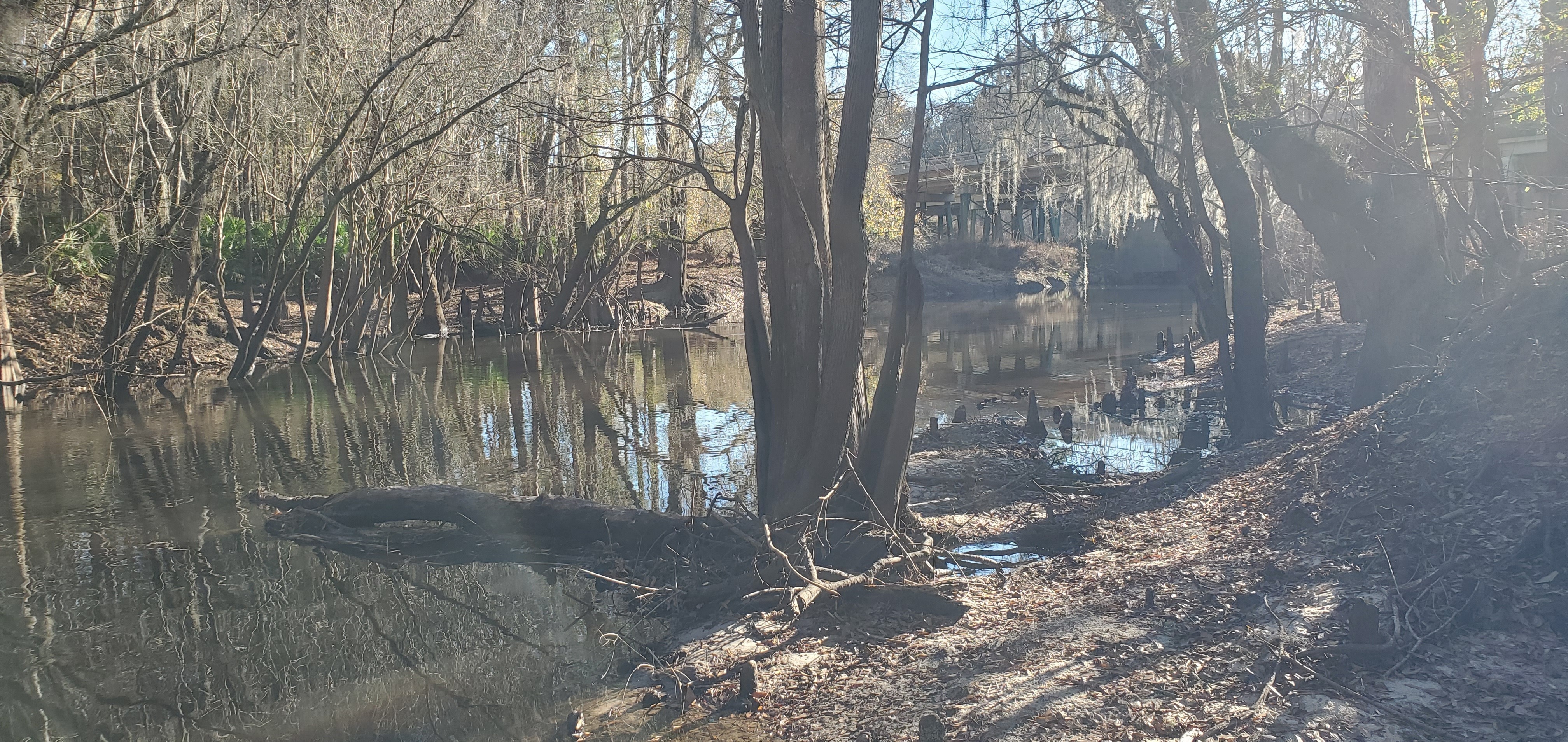 US 41, Withlacoochee River, 2023:01:06 15:44:40, 30.8955058, -83.3273336