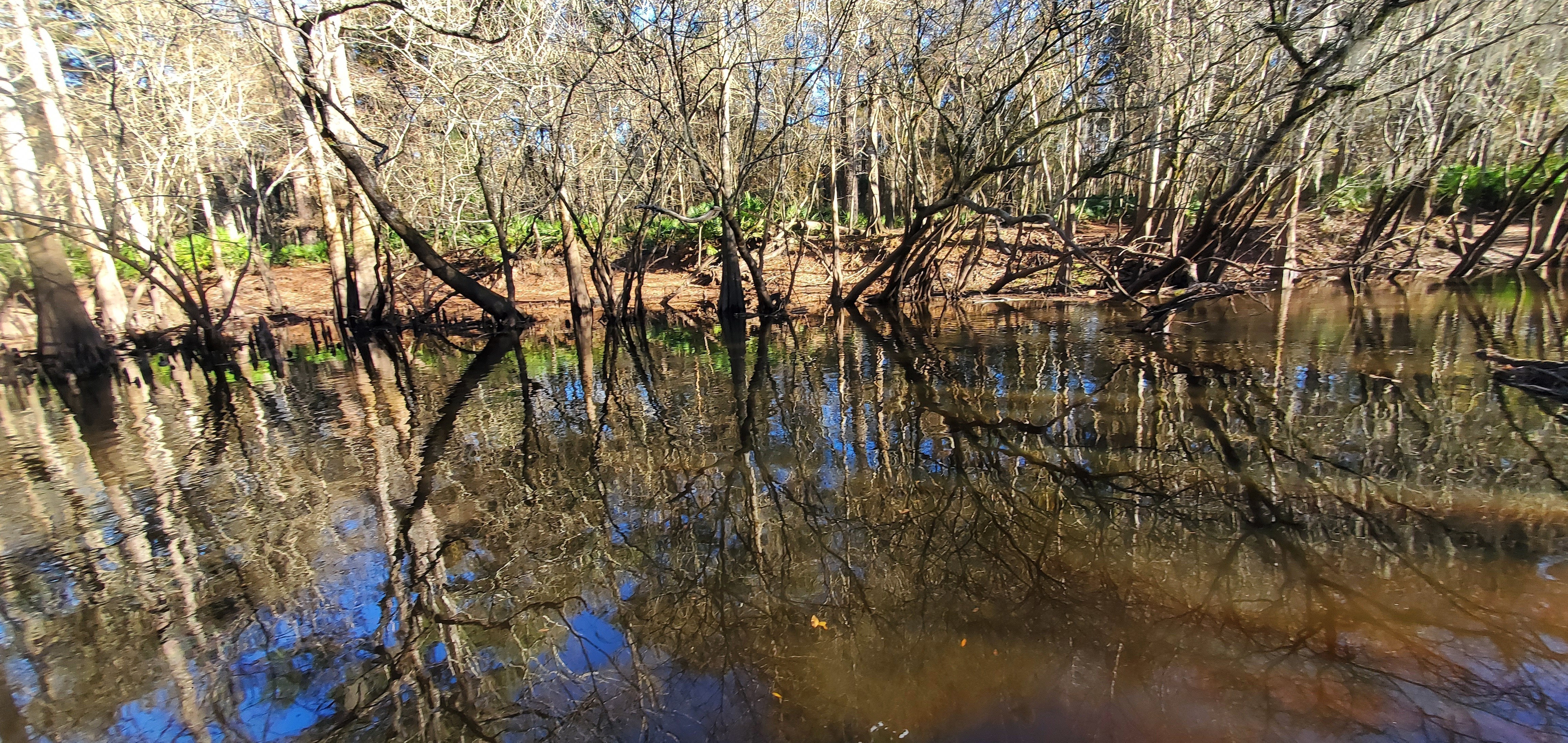 Across, US 41, Withlacoochee River, 2023:01:06 15:44:48, 30.8933091, -83.3185857