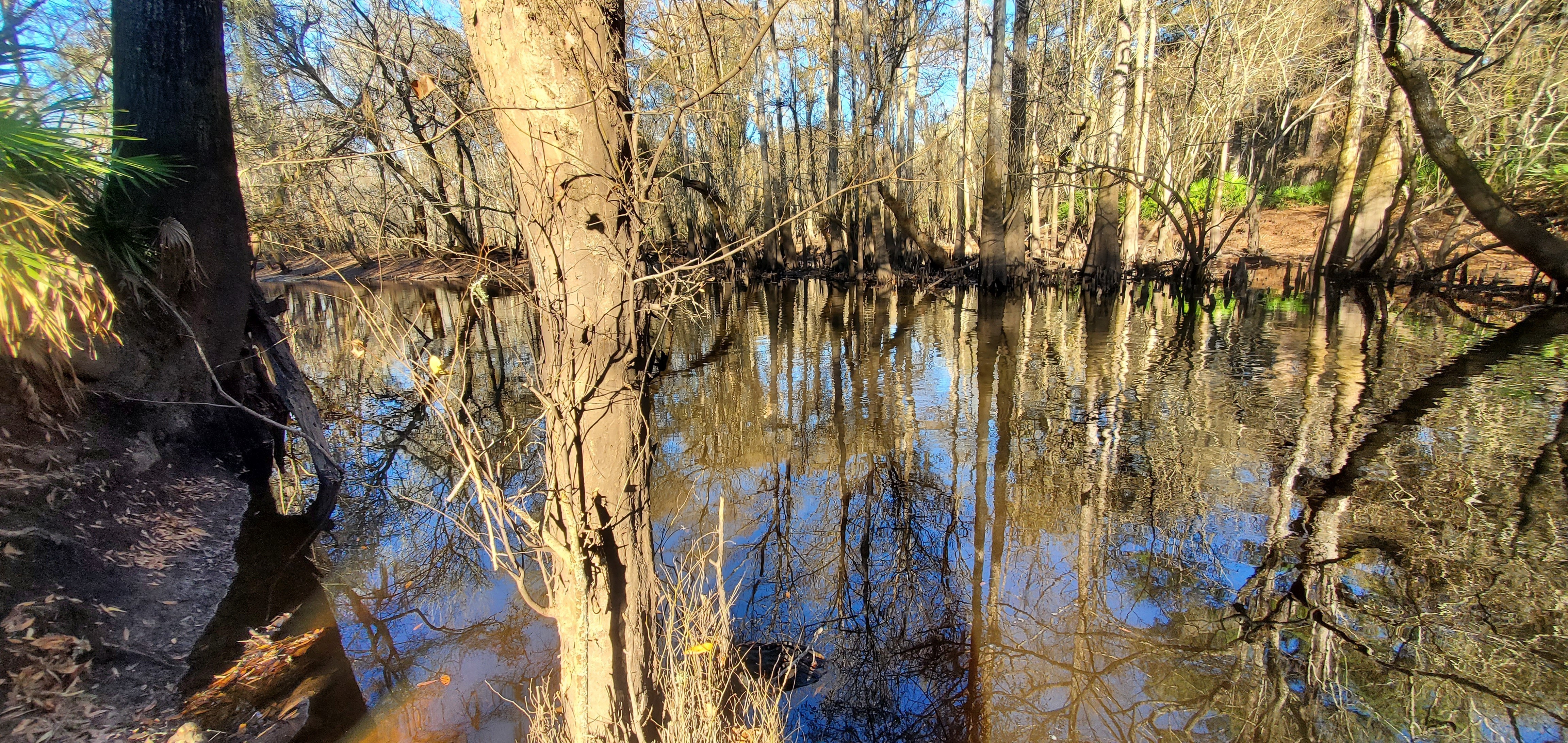 Downstream, US 41, Withlacoochee River, 2023:01:06 15:44:50, 30.8933091, -83.3185857