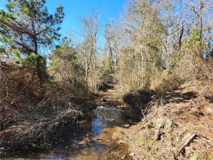 [Beaverdam Creek @ Ramblinwood Road downstream, Beaverdam Creek @ Ramblinwood Road 2023-01-06]