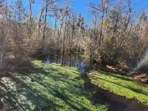 [Cat Creek @ GA 122 downstream, Cat Creek @ GA 122 2023-01-06]