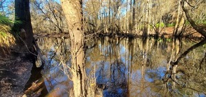 [Downstream, US 41, Withlacoochee River, 2023:01:06 15:44:50, 30.8933091, -83.3185857]