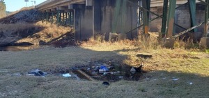 [Trash under US 41 Bridge, Withlacoochee River, 2023:01:06 15:46:29, 30.8930725, -83.3190215]