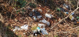 [Trash at entrance road, US 41, Withlacoochee River, 2023:01:06 15:49:33, 30.8942590, -83.3196887]