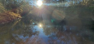 [Downstream, Staten Road, Withlacoochee River, 2023:01:06 16:14:28, 30.9277658, -83.2934676]