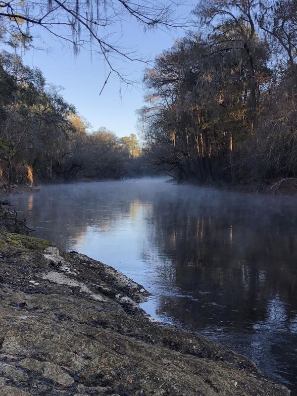 [Misty Alapaha River --Russell Allen McBride]