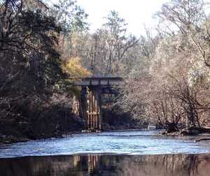 [CR 150 bridge downstream from Sasser Landing --Suzy Hall]