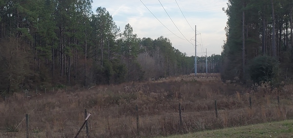 [Power line looking south, 17:22:32, 30.9595400, -83.4556230]