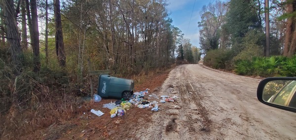 Trash, west side of Peach Road, 17:37:08, 30.9665526, -83.4833016