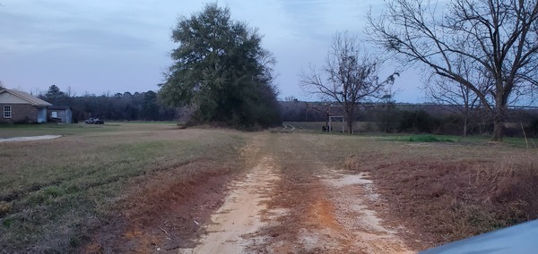 [Dirt road north from Lawson Pond Road to Sapp & C&M Land Holdings project fields, 17:58:42, 30.9435622, -83.4805046]