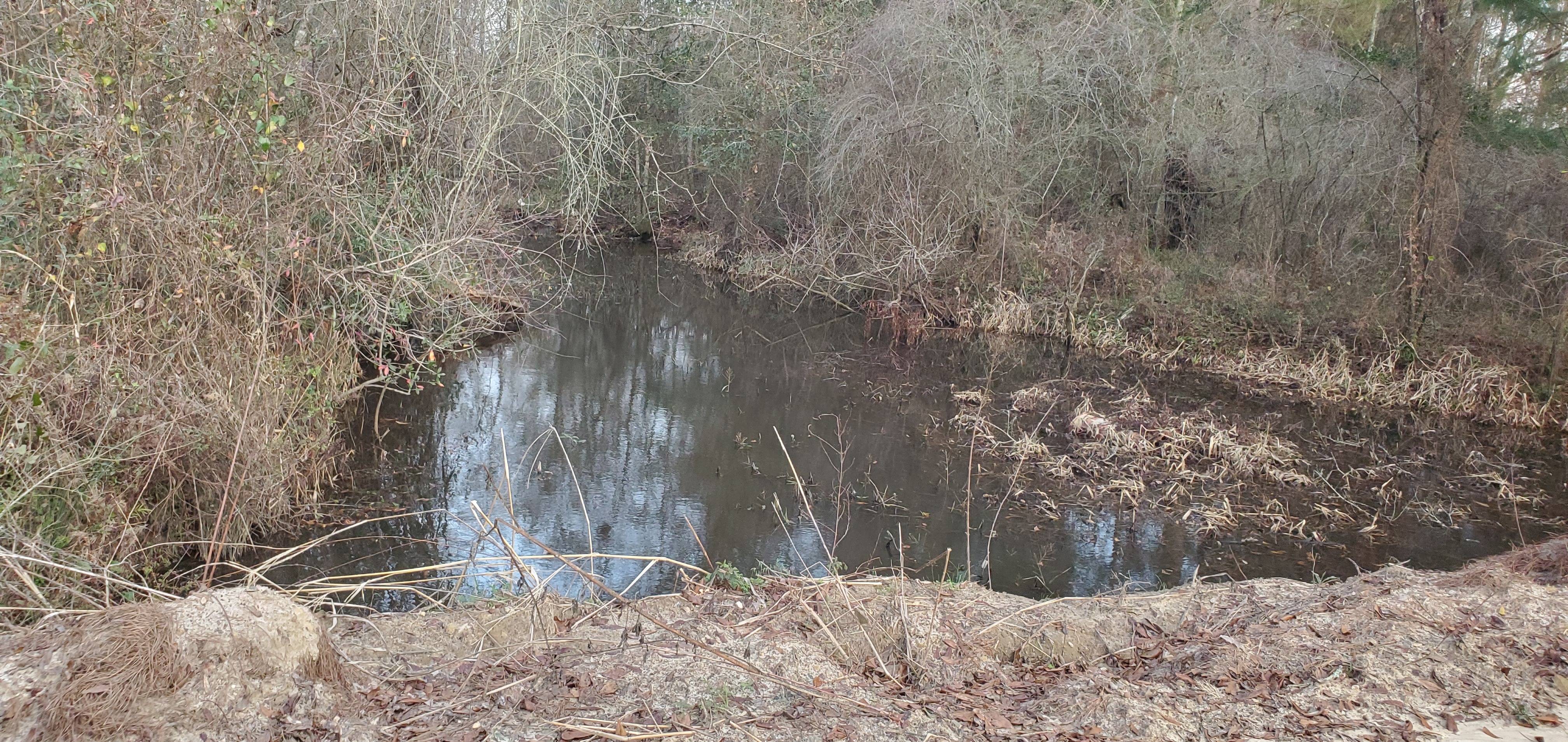 Drainage ditch, upstream, feeding Slaughter Creek at Peach Road, 17:39:41, 30.9647813, -83.4827892