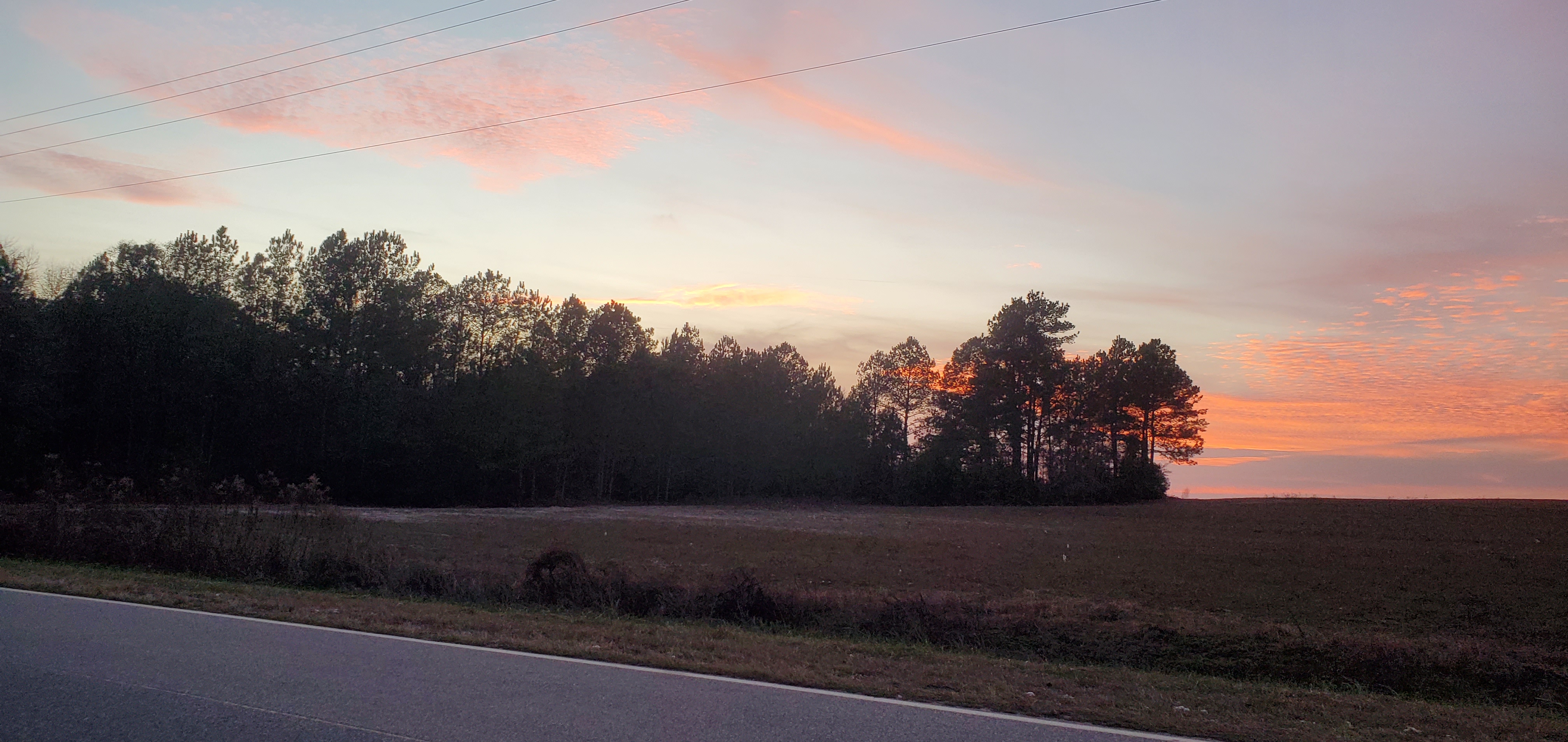 Existing vegetation to be kept for buffer, Lawson Pond Road, Howard I. Lawson, 18:05:01, 30.9524756, -83.4595927