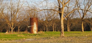 [Pecan tree tank from Guess Road, 17:26:07, 30.9560641, -83.4599586]