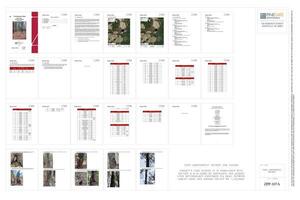 [Tree Assessment Report]