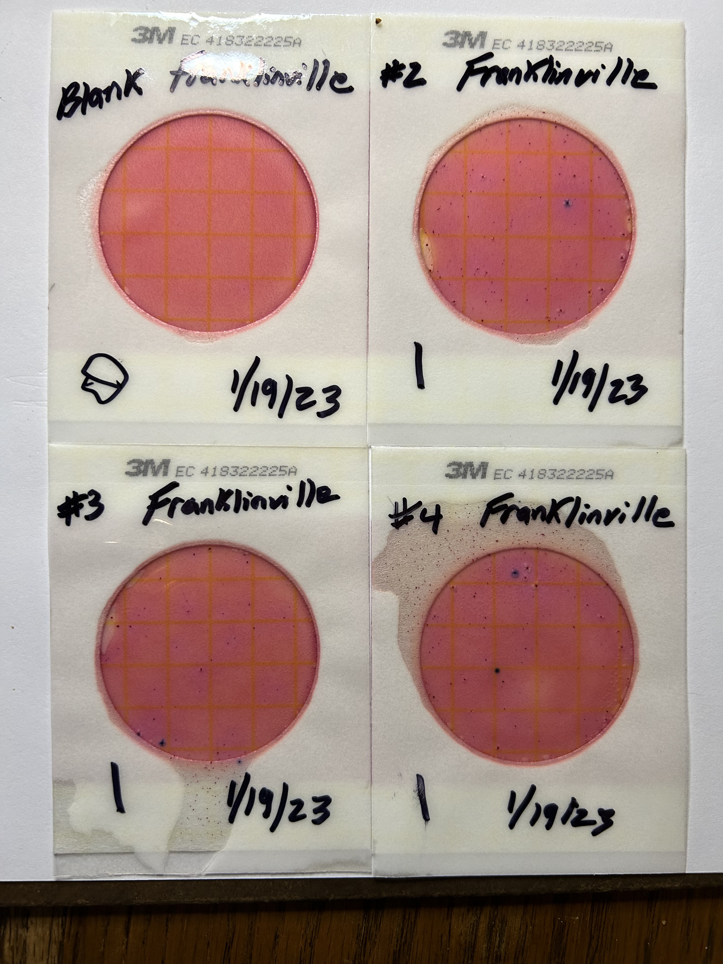 Plates, Franklinville, Withlacoochee River 2023-01-19