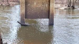 [Movie: Nankin Boat Ramp, Water Level and Flow, Withlacoochee River @ Clyattville-Nankin Road 2023-01-19]