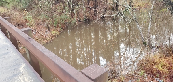 [Downstream from Hutchinson Mill Creek Overflow Bridge, 16:22:01, 31.0217340, -83.3083870]