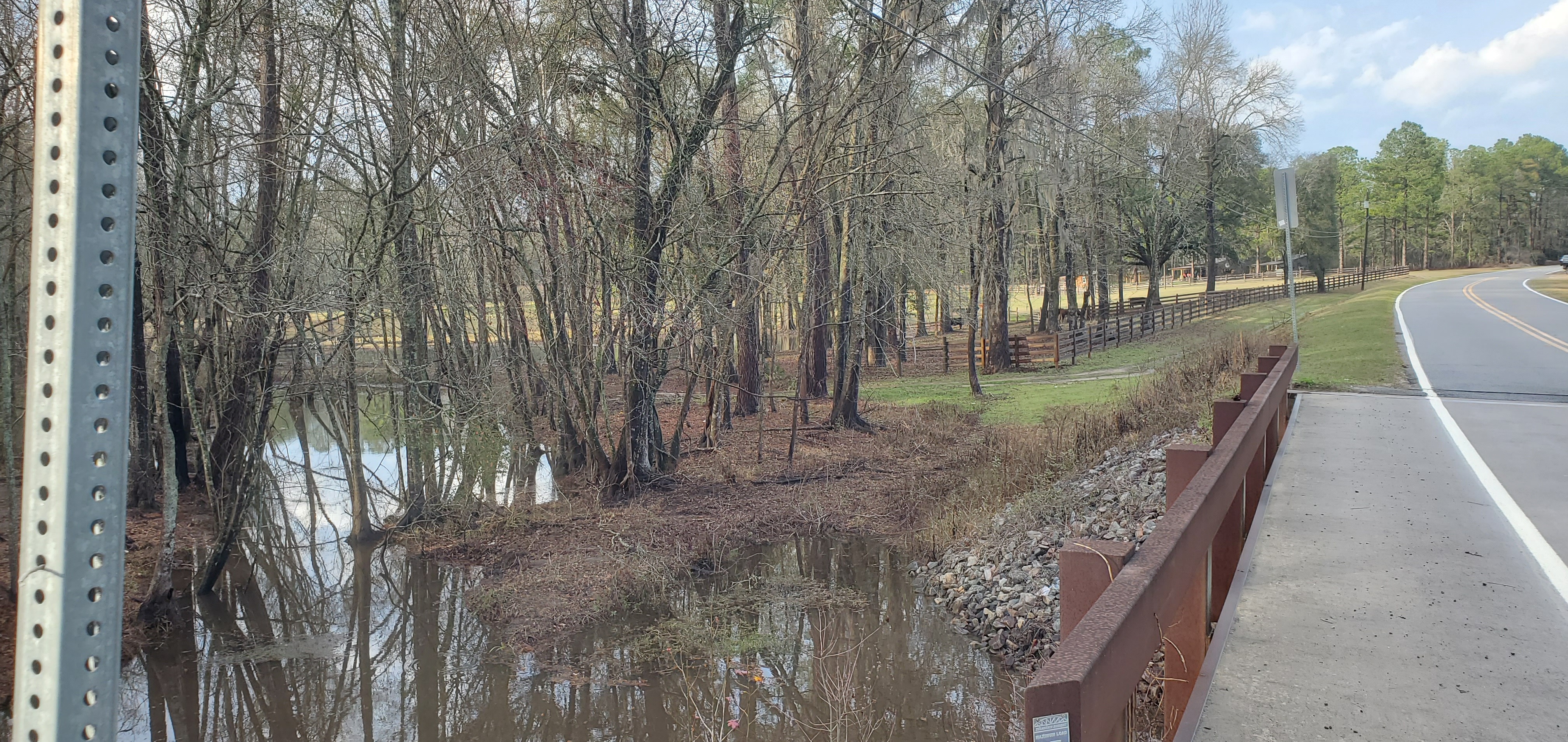 Hutchinson Mill Creek Bridge north to pond and cows, 16:19:53, 31.0230636, -83.3083119