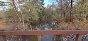 [Downstream from Hutchinson Mill Creek Bridge, 16:20:16, 31.0227117, -83.3084498]