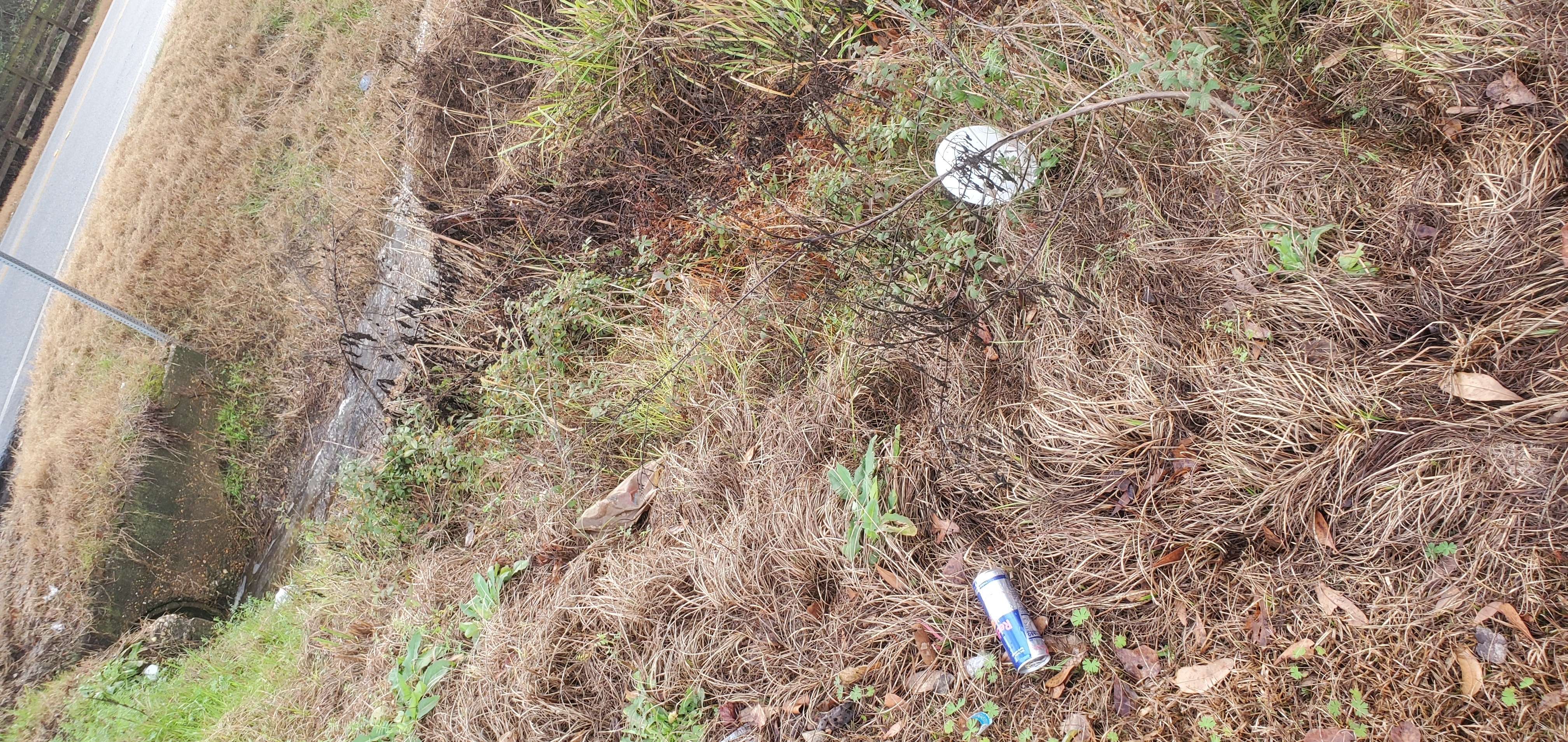 Trash in ditch by rezoning site, 16:08:06, 31.0133630, -83.3077430