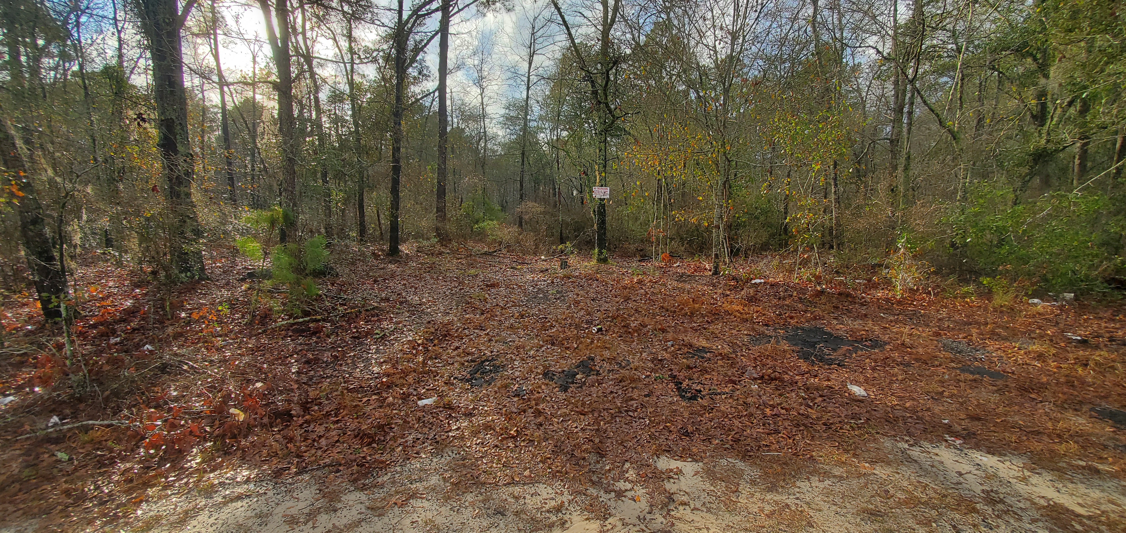 Side entrance to site across from church, 16:10:32, 31.0144310, -83.3079981