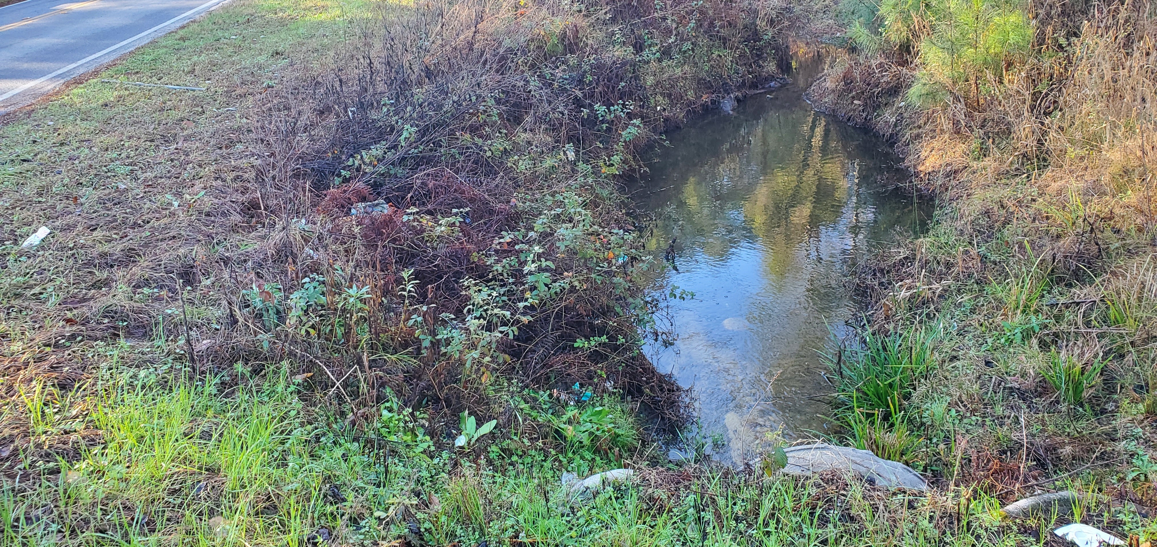 Water from GA 122 culvert towards Poley Branch, 09:08:52, 31.0130421, -83.3078322