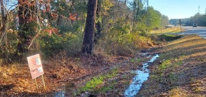 [Closer rezoning sign towards Withlacoochee River, 09:03:01, 31.0133319, -83.3086953]