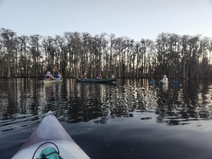 [Boaters and cypress --Elizabeth Brunner]