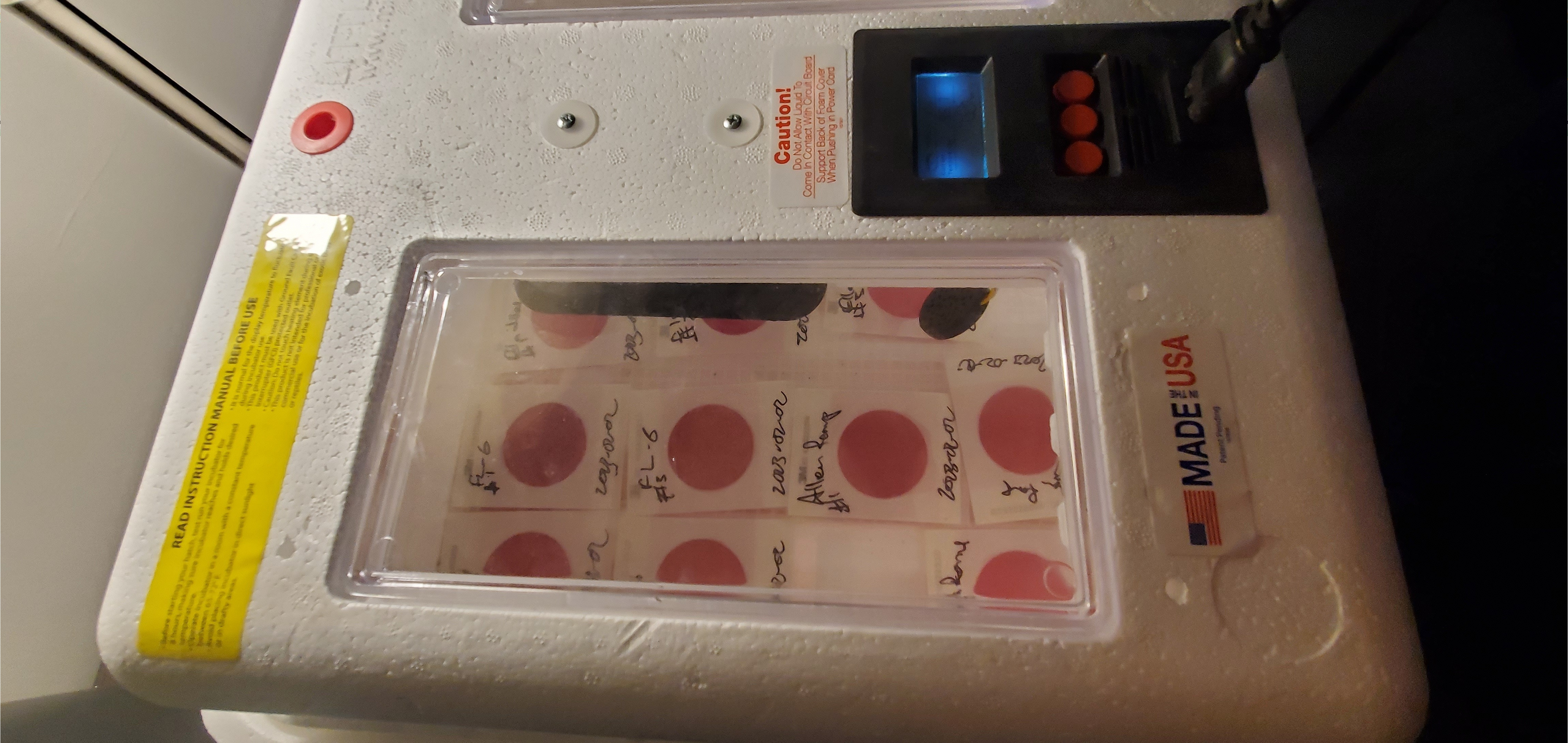 Plates incubating for FL 6, Allen Ramp, and Ellaville Landing, Withlacoochee River, 2023-02-02, 19:11:20, 29.6187454, -82.3889340