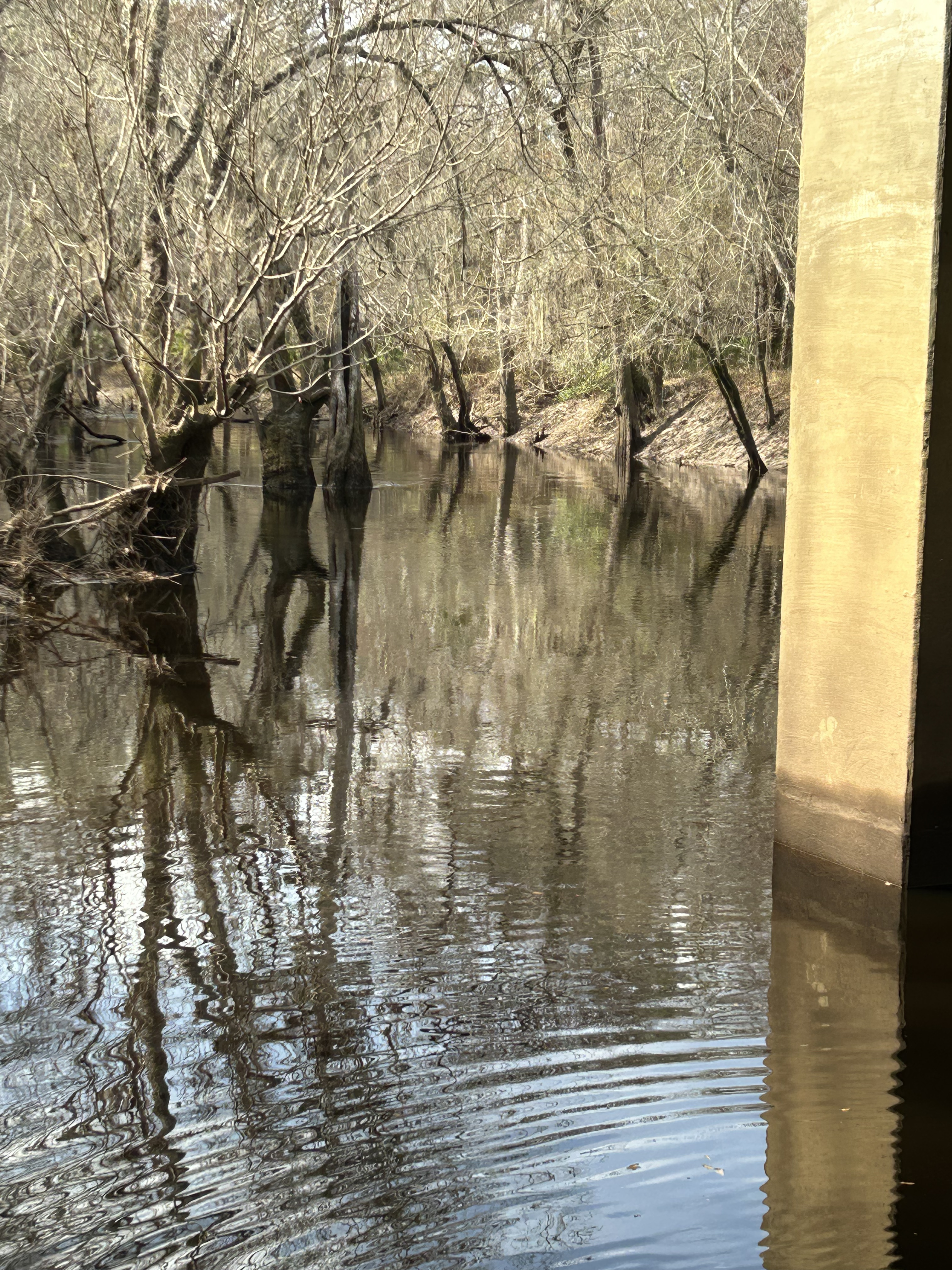 Skipper Bridge, Withlacoochee River @ Skipper Bridge Road 2023-02-09