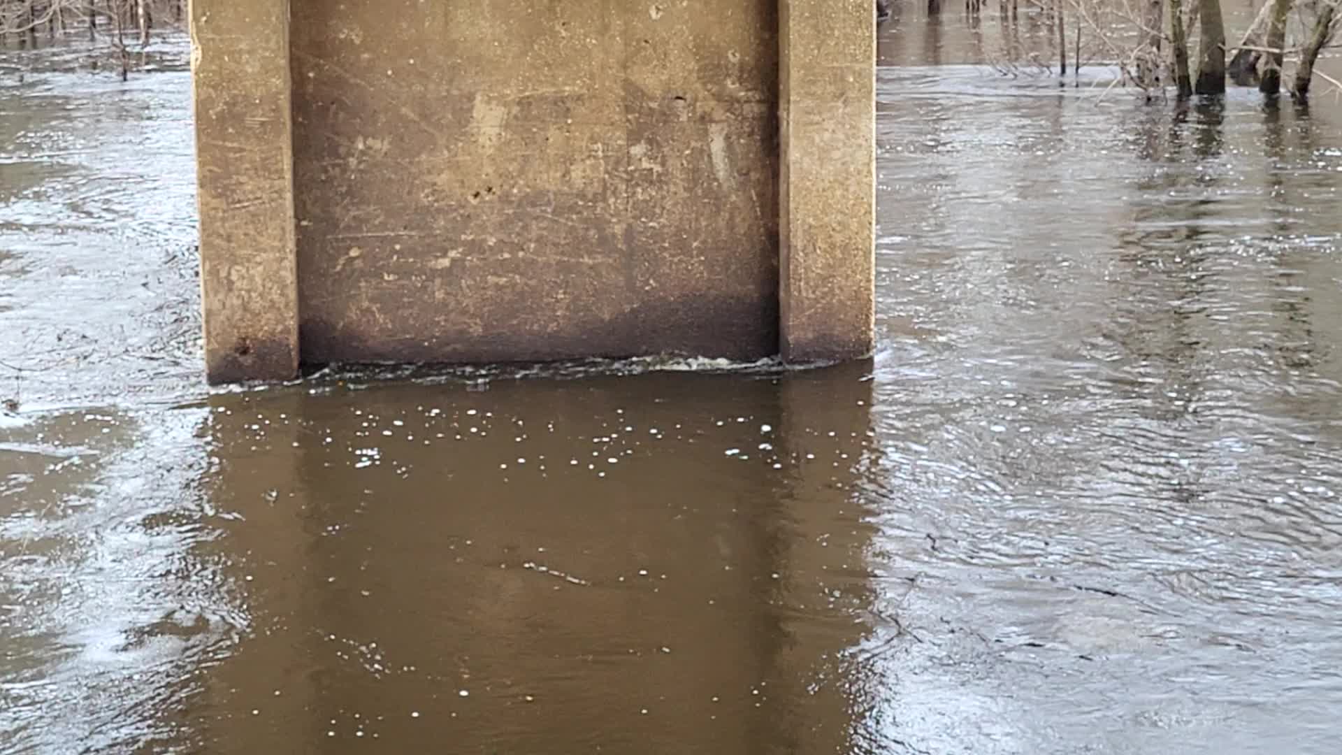 Movie: Flow and Level, Nankin Boat Ramp, Withlacoochee River @ Clyattville-Nankin Road 2023-02-09