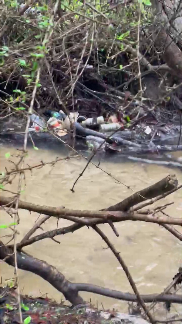 [Trash across Two Mile Branch]