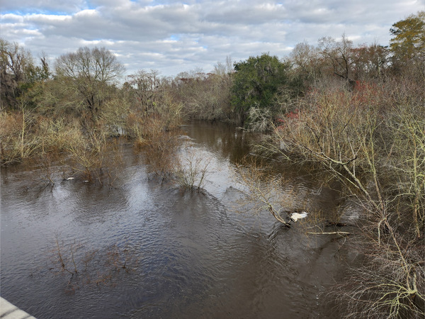 [Folsom Bridge Landing, Little River @ GA 122 2023-02-16]