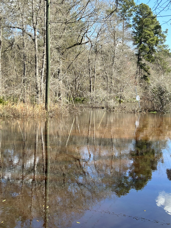 [Franklinvvile, Withlacoochee River @ Frankinville Road 2023-02-16]