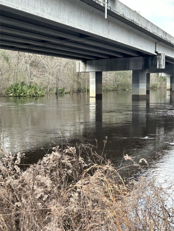 [Skipper Bridge, Withlacoochee River @ Skipper Bridge Road 2023-02-16]