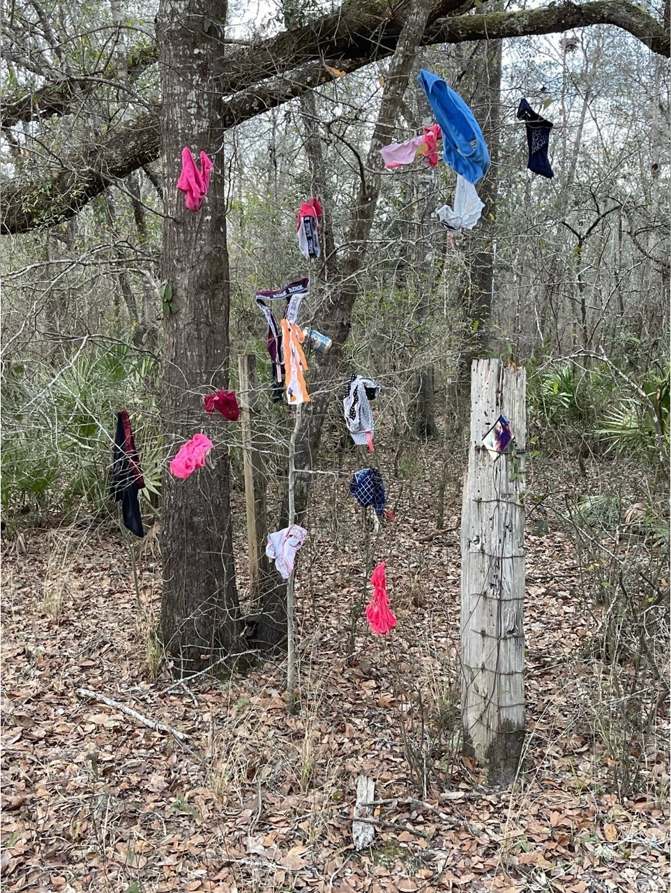 Underwear, Knights Ferry Boat Ramp, 2023-02-09