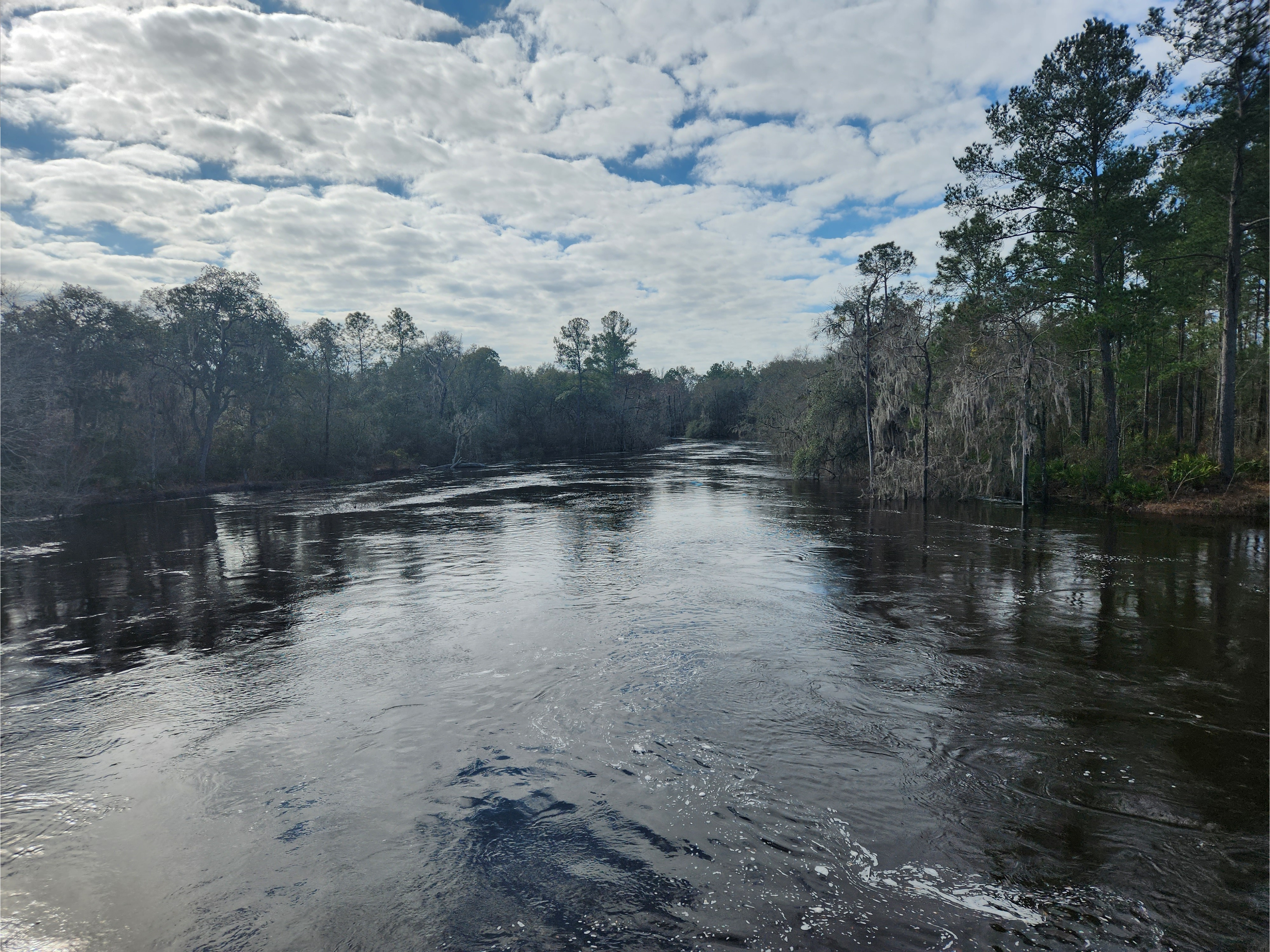 Lakeland Boat Ramp downstream, Alapaha River @ GA 122 2023-02-16