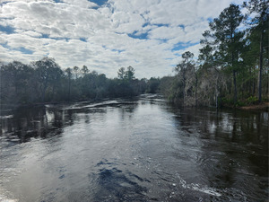 [Lakeland Boat Ramp downstream, Alapaha River @ GA 122 2023-02-16]