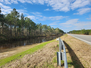 [Towards town, Lakeland Boat Ramp, Alapaha River @ GA 122 2023-02-16]