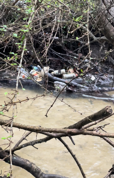 Floating trashjam; Photo: Bobby McKenzie