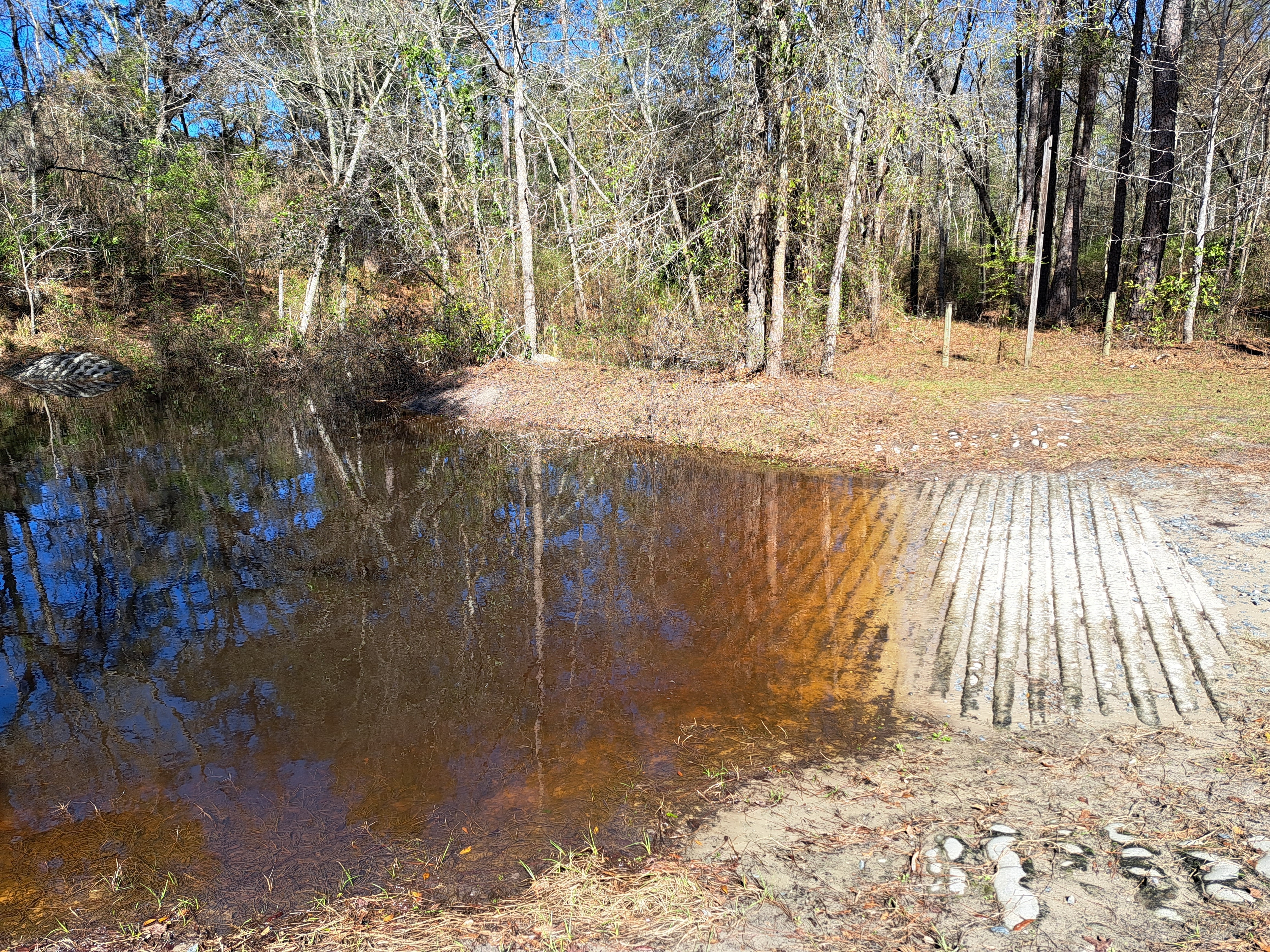 Sasser Landing, Alapaha River 2023-02-18