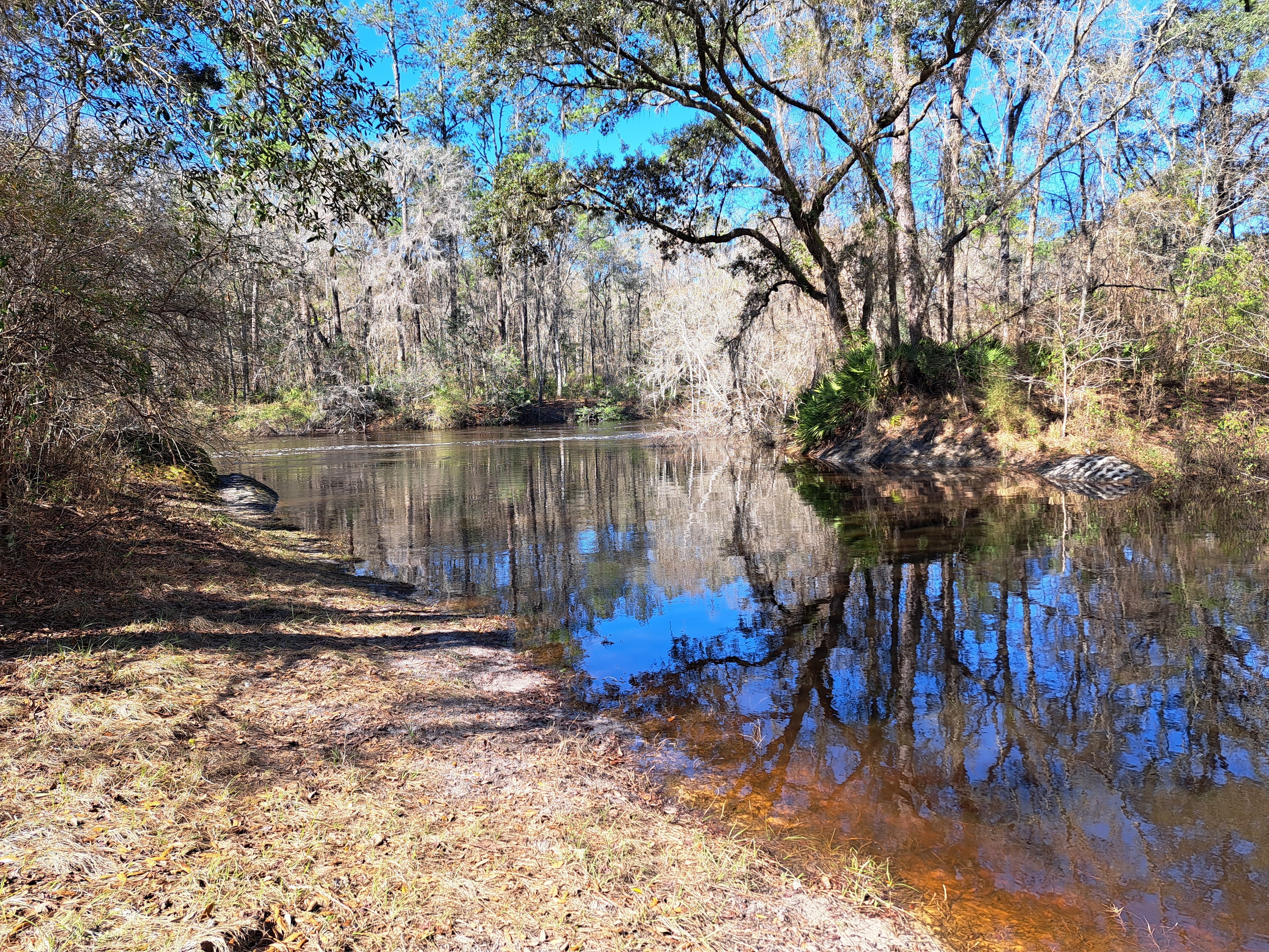 Driveway, Sasser Landing, Alapaha River 2023-02-18