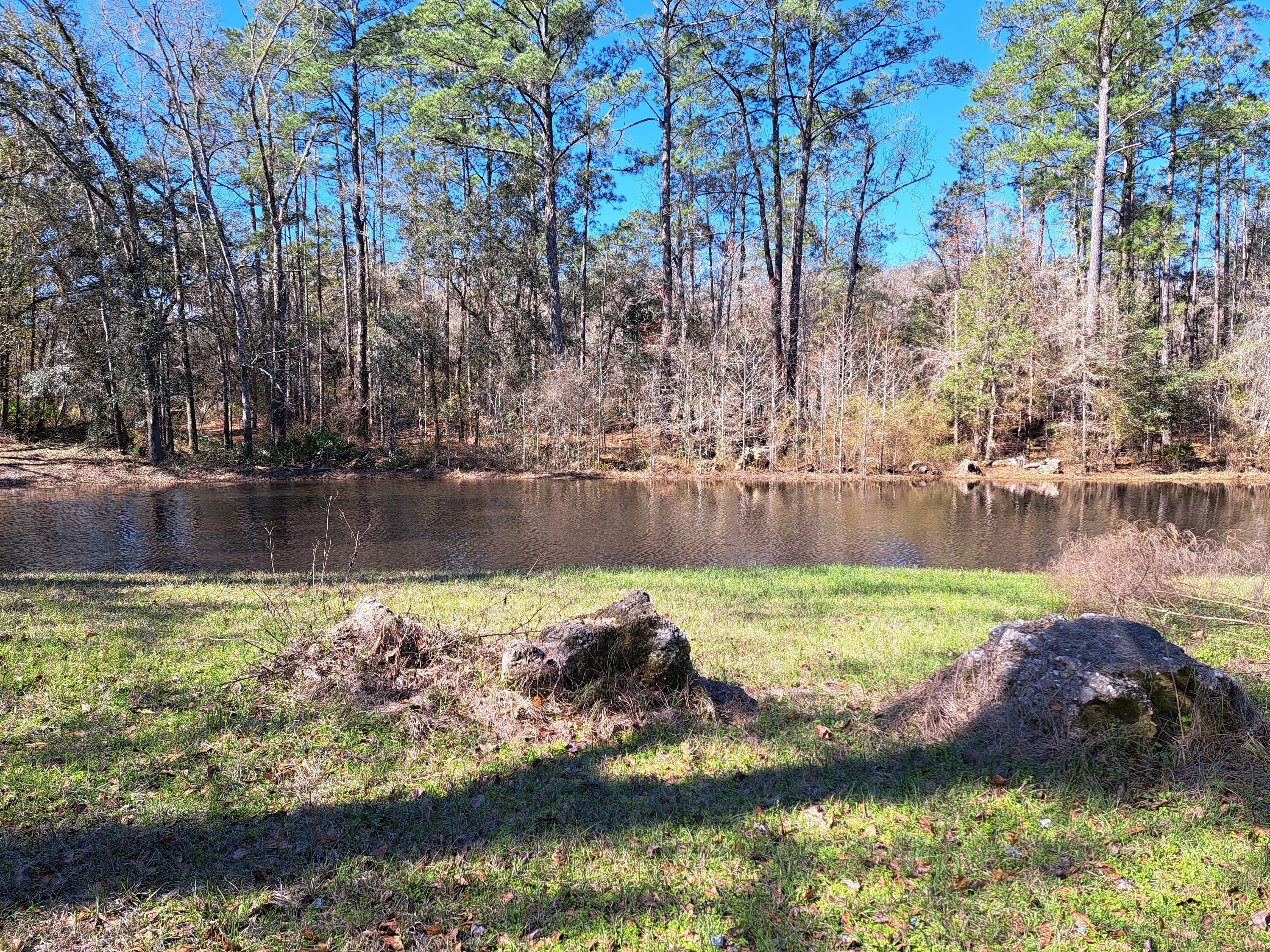 Road, Sasser Landing, Alapaha River 2023-02-18