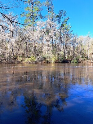 [Alapaha River at Sasser Landing 2023-02-18]