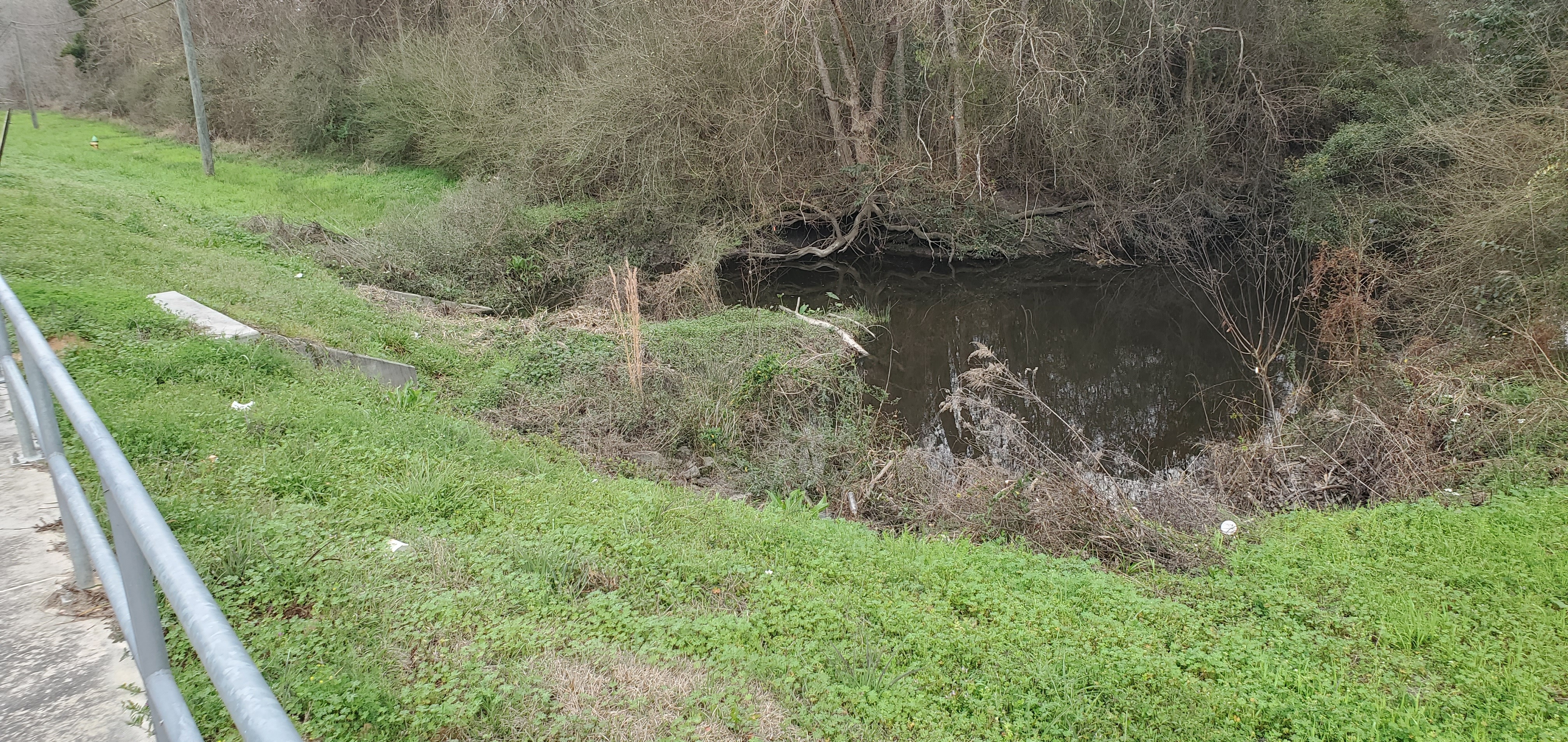 Knights Creek downstream: it stunk, 15:22:29, 30.8611843, -83.2547908