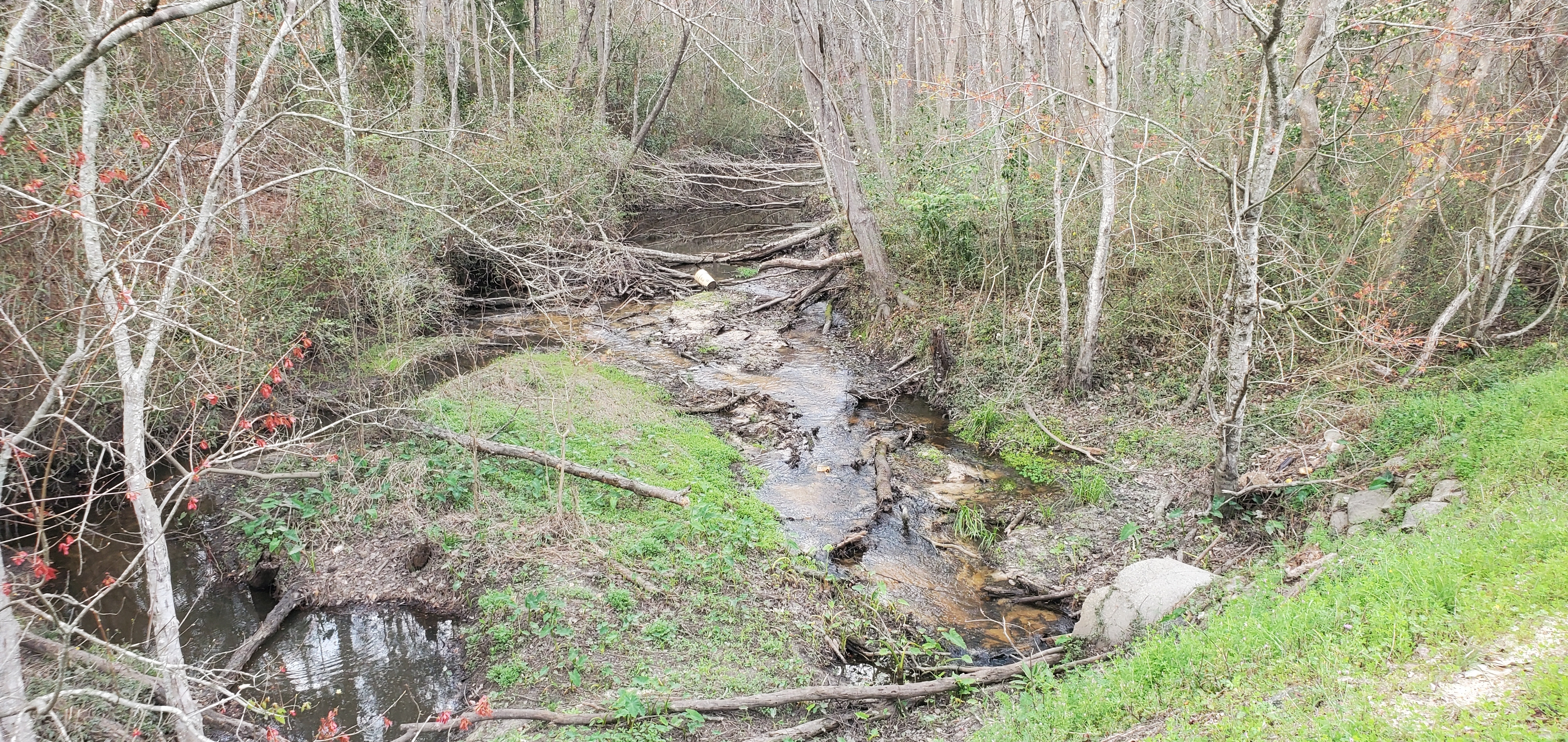 Knights Creek upstream, 15:23:32, 30.8611840, -83.2543700